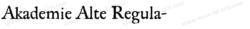 Akademie Alte Regula字体转换